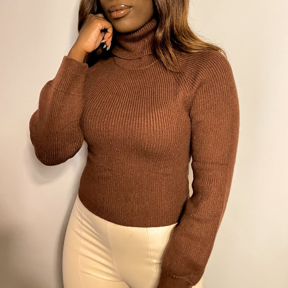 Brown Turtleneck Sweater